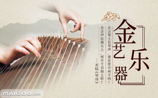 金艺怎么样