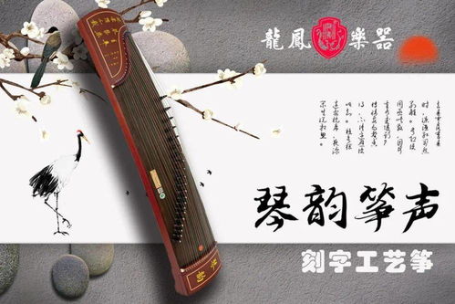 购买古筝的三个误区,第三条最常见